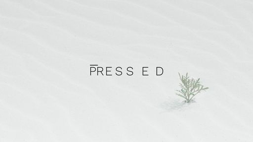 P R E S S E D - Script Codes