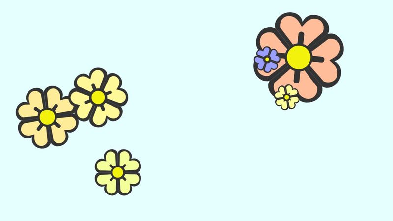 Randomly generated CSS Flowers