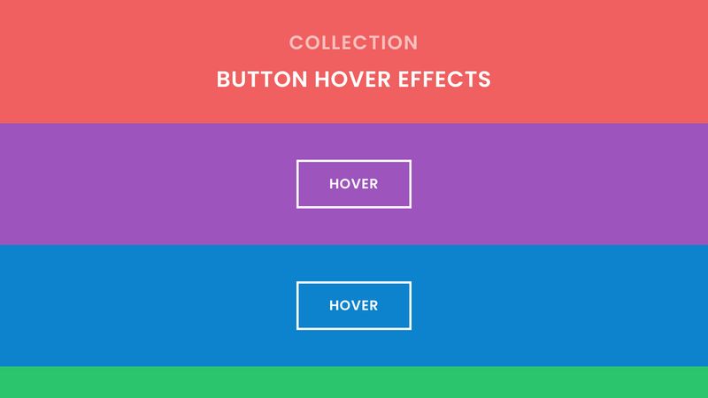 Button Hover Effects