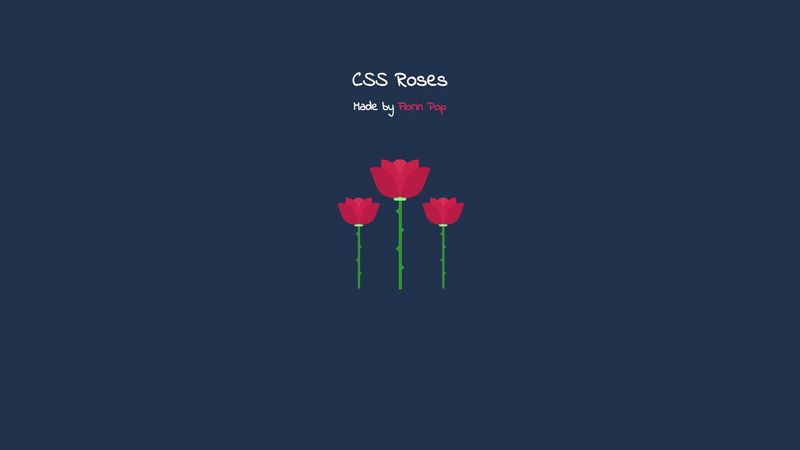 CSS Roses