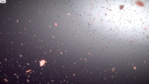 CSS Creative Visual Effects
