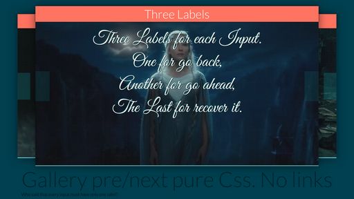 Three Labels for each Input - Script Codes
