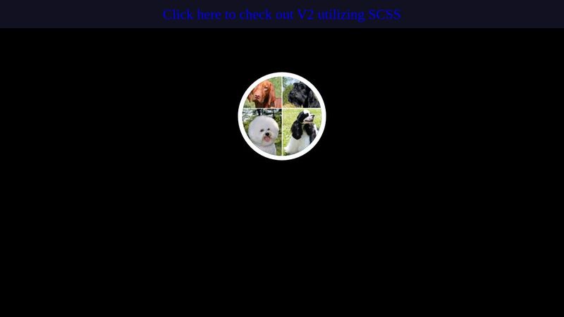 InfoCard CSS Only V1