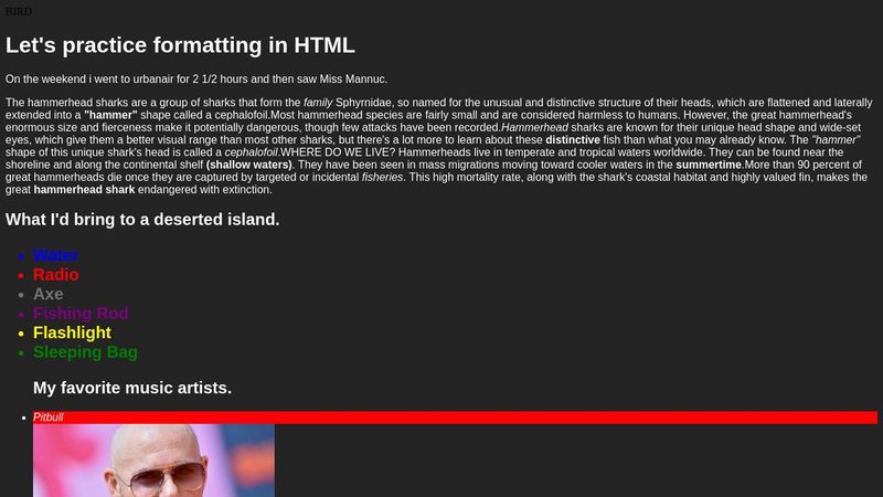 HTML Text Formatting