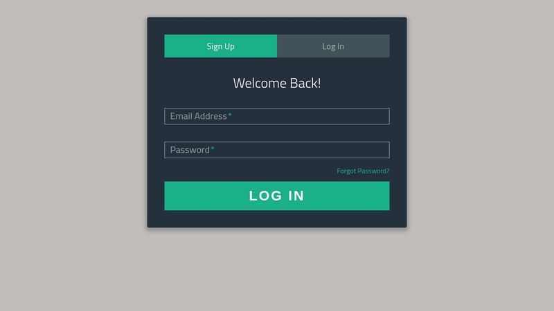 Sign-Up/Login Form