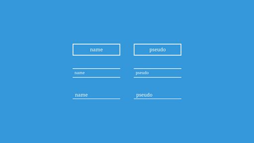 Input focus effect with only CSS - Script Codes