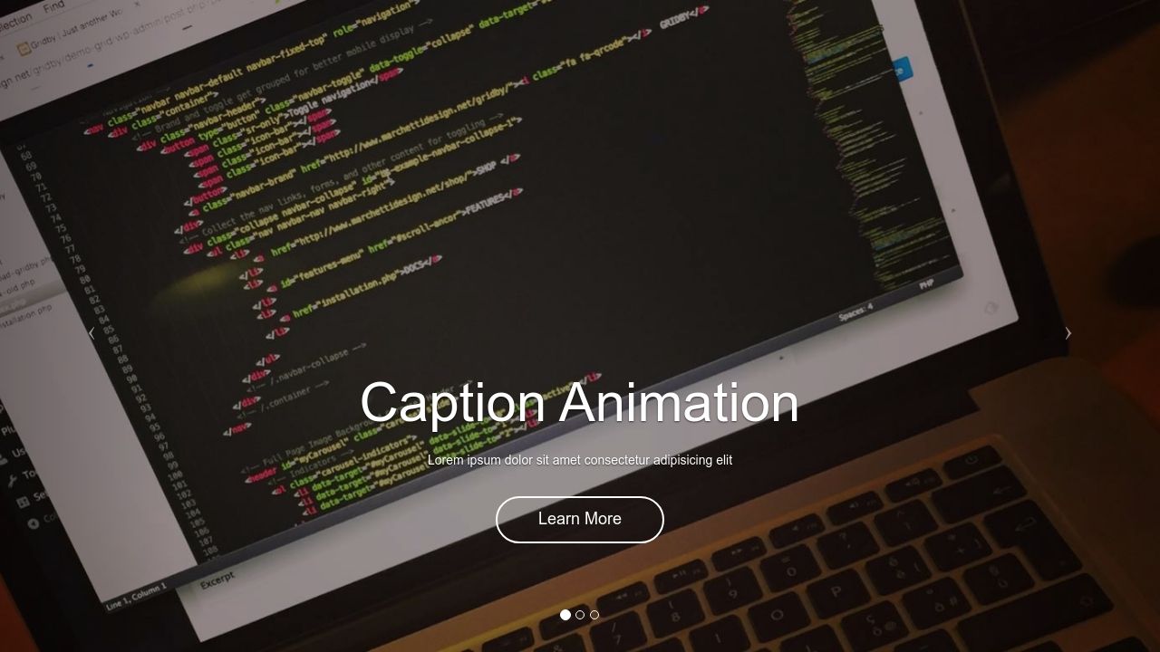 Bootstrap Slider Full Screen with Animations