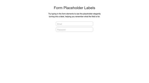 Form Placeholder Labels - Script Codes