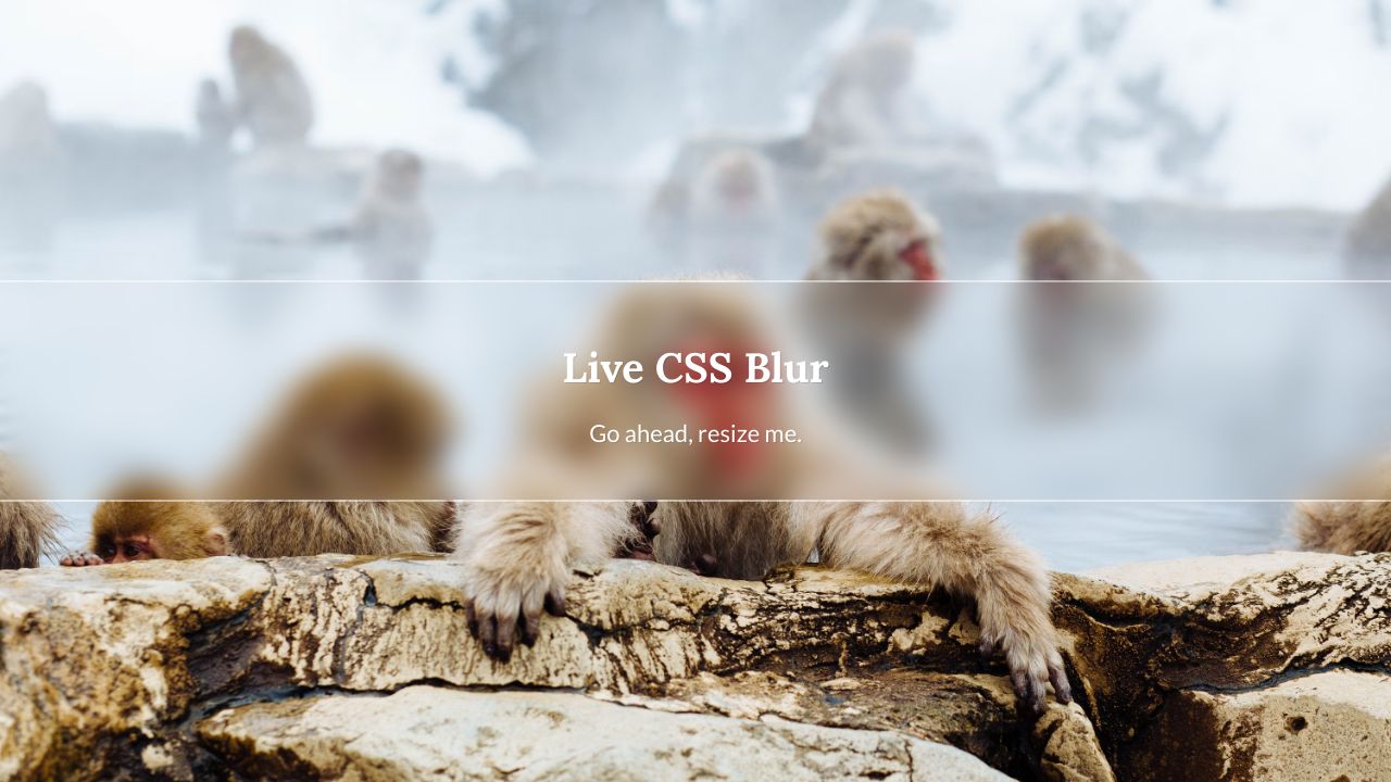 Giới thiệu Live CSS Blur - một hiệu ứng CSS đa sắc thái tuyệt đẹp cho ảnh của bạn. Với tính năng Blur độc đáo, bạn có thể tạo ra một ảnh chuyển động đầy mịn màng và tinh tế. Hãy khám phá trải nghiệm mới này ngay hôm nay và chia sẻ với tất cả mọi người!