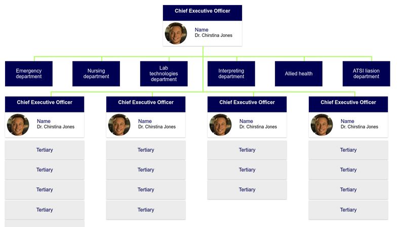 Simple and Responsive Organizational Chart (HTML5 and CSS3 only)