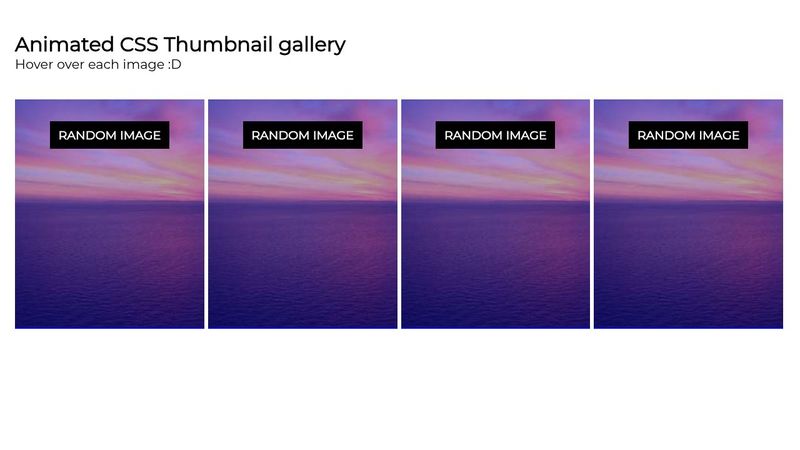 Animated CSS thumbnail gallery