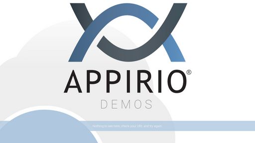 Appirio Demos - Script Codes