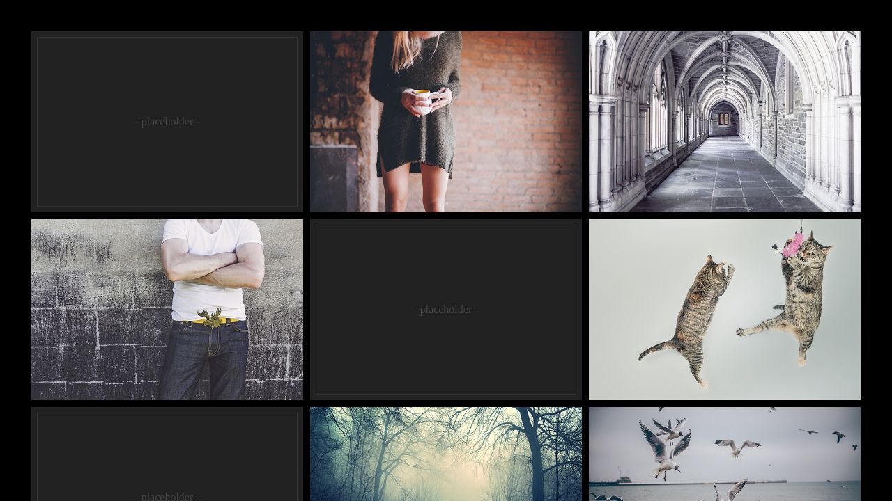 image gallery - a Collection by bawyera on CodePen image gallery - a Collection by bawyera on CodePen