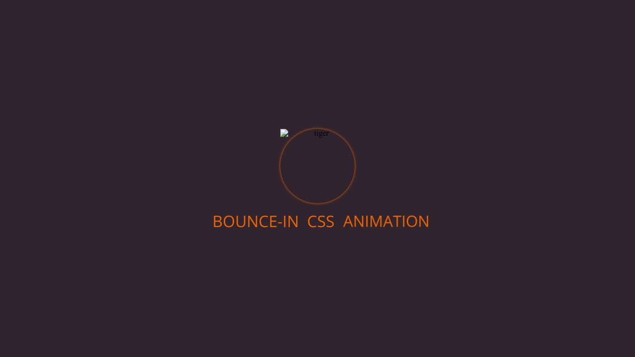 Bounce-in css animation