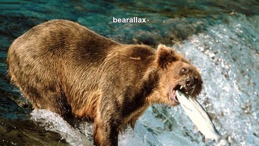 "bearallax" - Script Codes