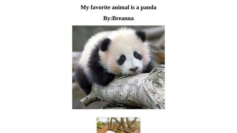 My favorite animal panda My favorite animal panda