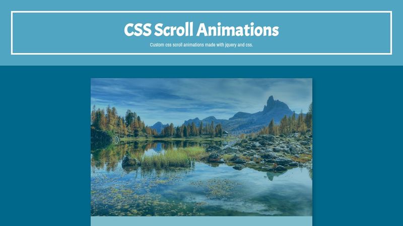 Css Scroll Animations