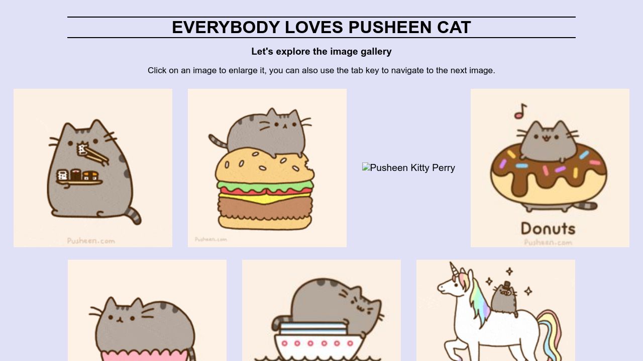 Photo Gallery - Everyone Loves Pusheen Cat!