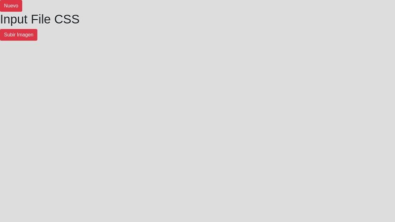 Input File CSS