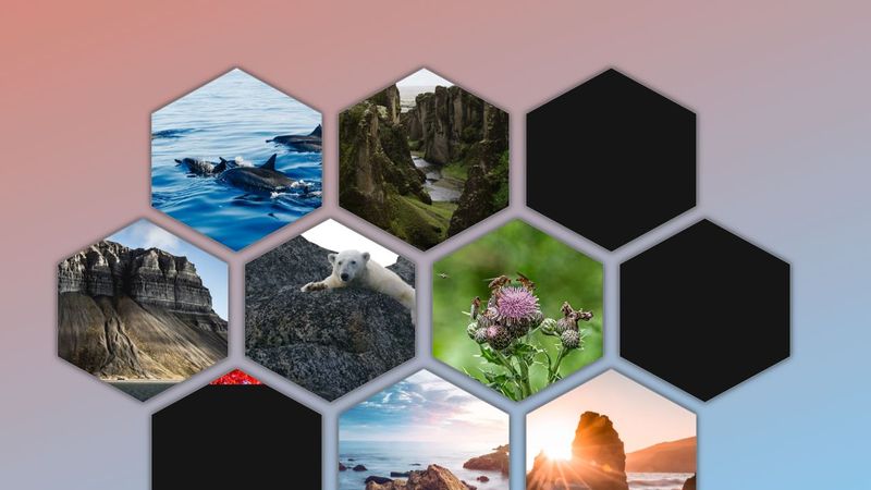 Hexagon image gallery