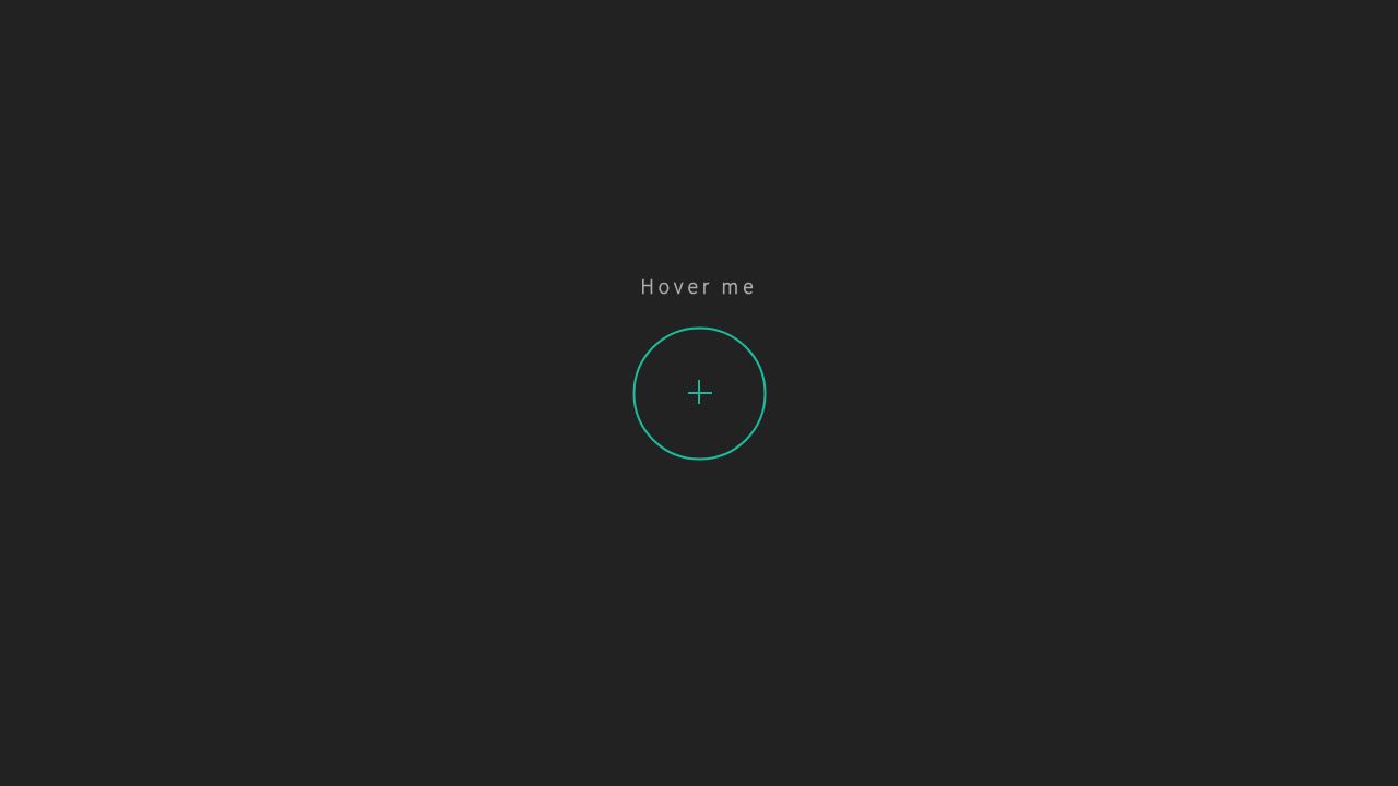 SVG Ellipse Border Animation SVG Ellipse Border Animation