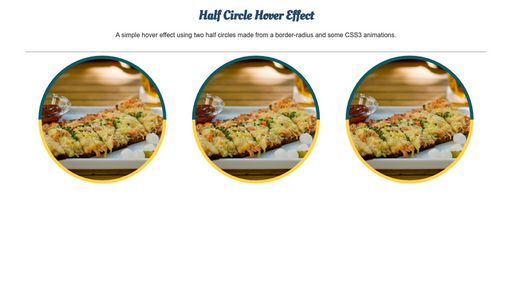 Half Circle Hover Effect - Script Codes