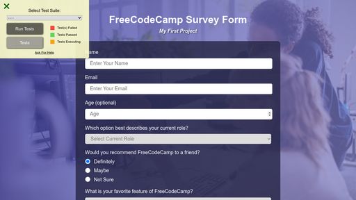 Survey Form Review/feedback - Code Feedback - The FreeCodeCamp Forum