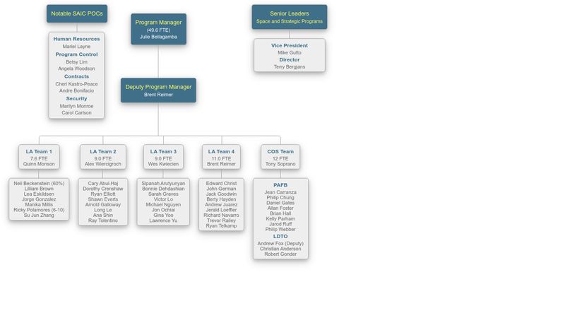 SAIC Org Chart