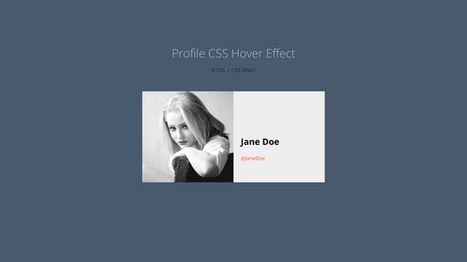 Profile CSS Hover Effect - Script Codes