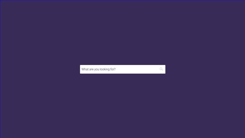 Pure CSS Input Label Animation