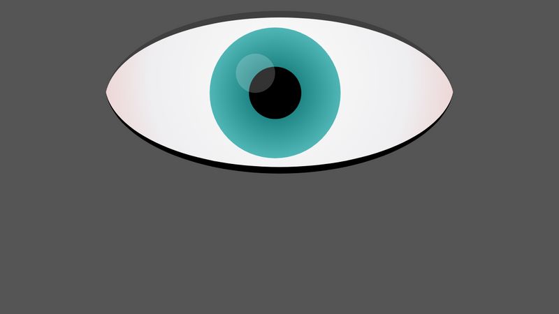 Blinking eye CSS animation