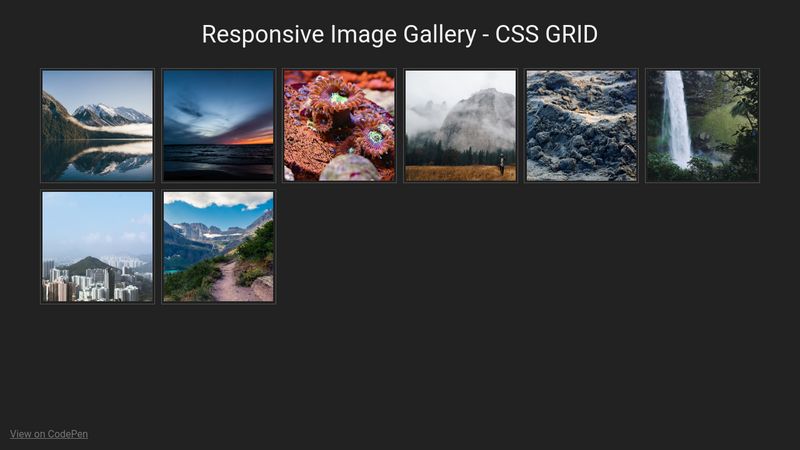 Css grid responsive image gallery codepen