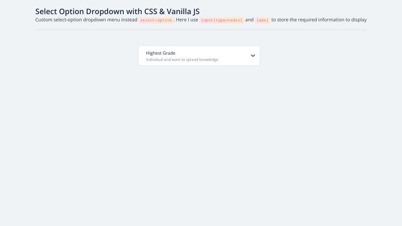 Vanilla Js Select Option Dropdown