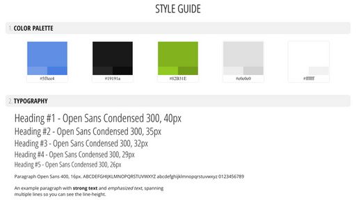 Style Guide Template - Script Codes