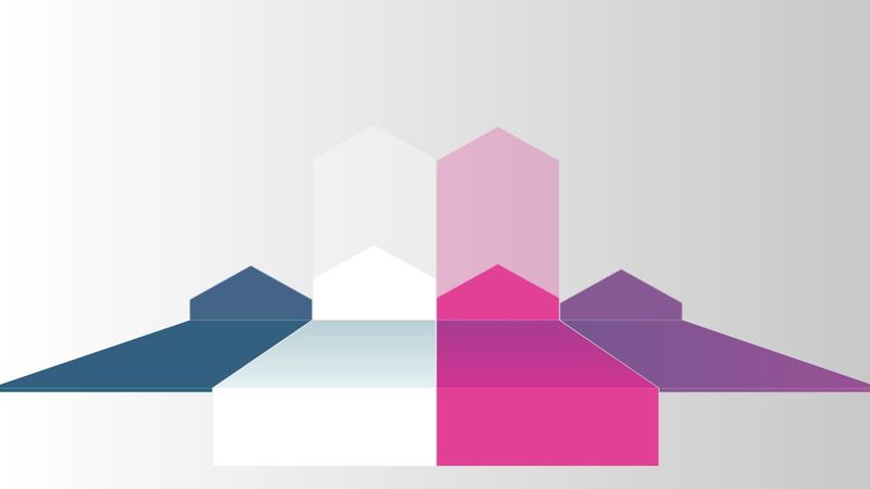 SVG & GSAP Animated Bar Graph SVG & GSAP Animated Bar Graph