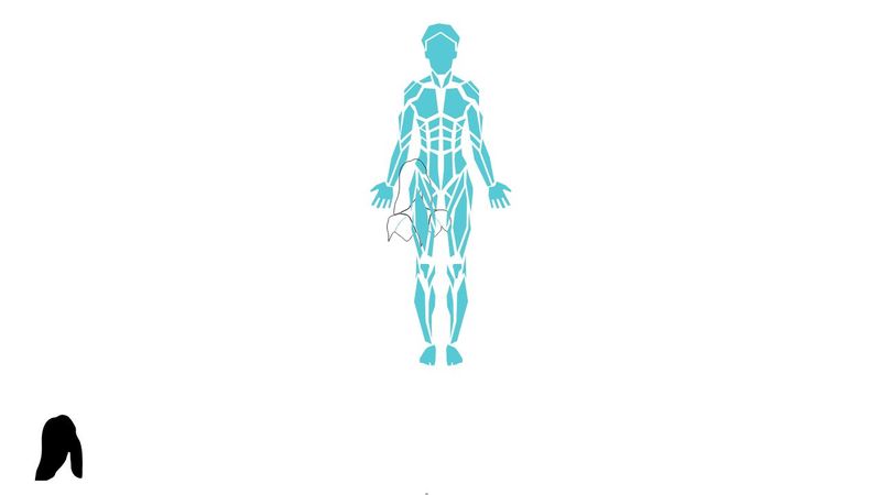 Human Body SVG with JS