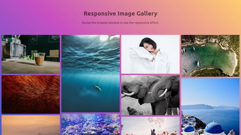 Responsive Image Gallery Using HTML and CSS