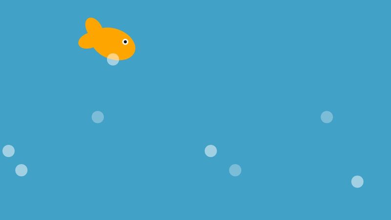 Franklin The CSS Fish