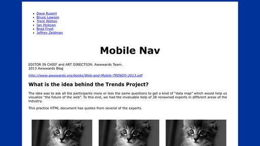 ICA adding mobile NAV - Script Codes