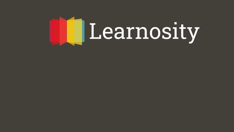 Learnosity Logo