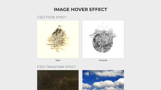 Image Hover Effects - Script Codes