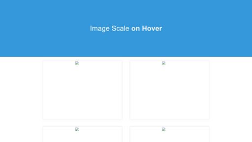 Image Scale on Hover - Script Codes