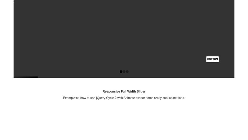Carousel + Animation Carousel + Animation