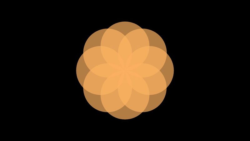 CSS flower animation