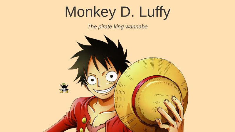About Luffy About Luffy
