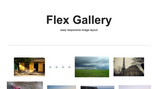 Flex Gallery - Script Codes
