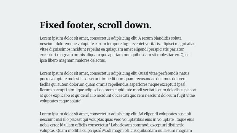 Fixed footer