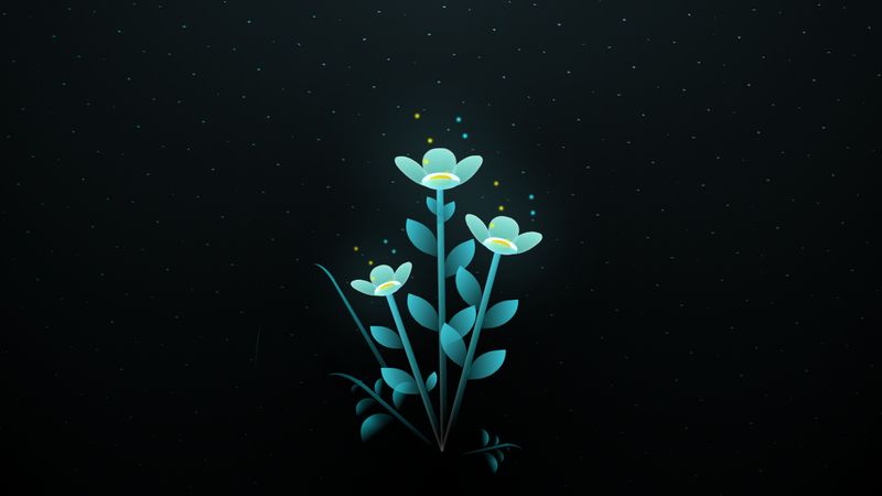 CSS Blossoming Flowers at Magical Night