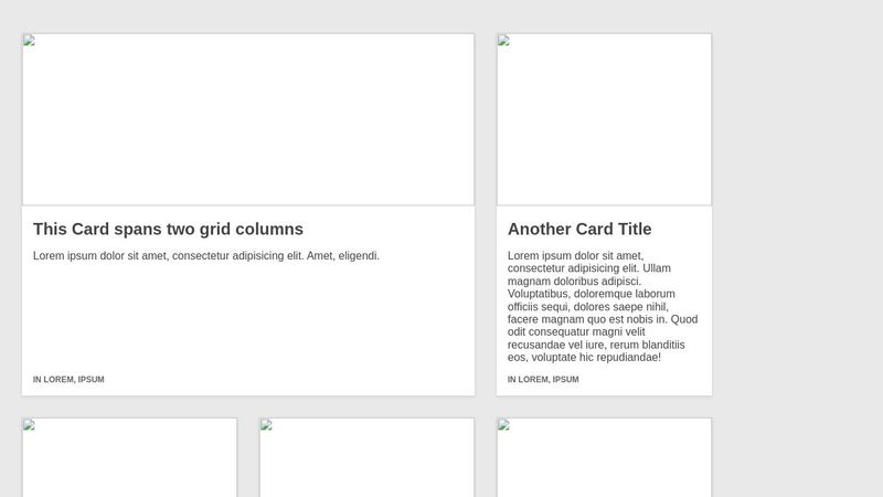 CSS Grid Card Layout