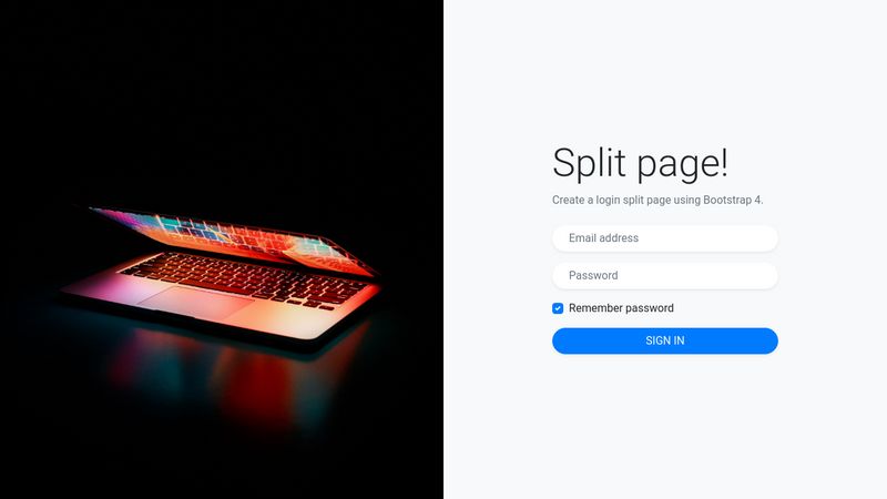 half-image-login-page